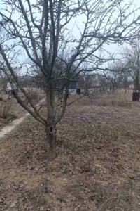 Земельна ділянка сільськогосподарського призначення в Луці-Мелешківській, площа 5 соток фото 2