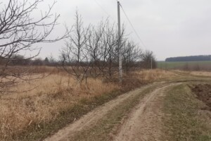 Земельна ділянка сільськогосподарського призначення в Луці-Мелешківській, площа 19 соток фото 2