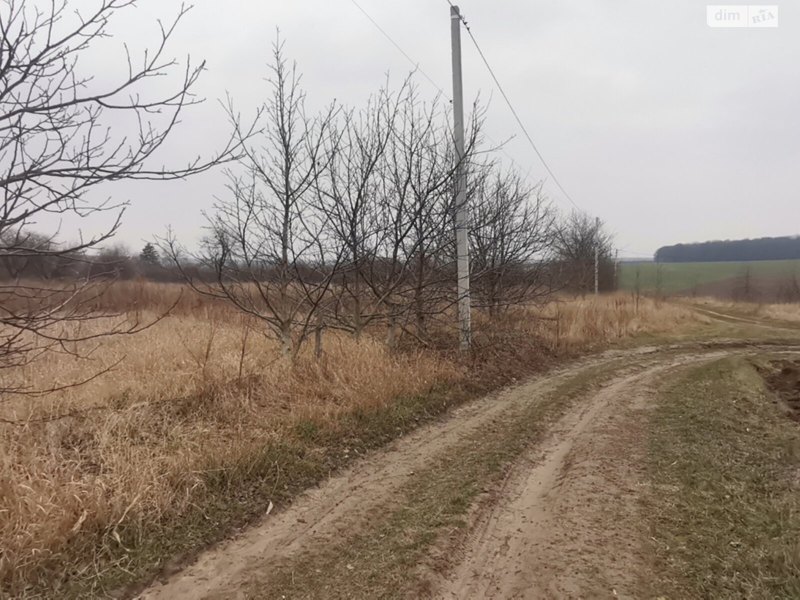 Земельна ділянка сільськогосподарського призначення в Луці-Мелешківській, площа 19 соток фото 1