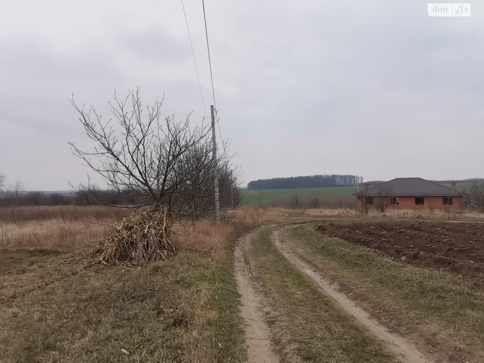 Земельна ділянка сільськогосподарського призначення в Луці-Мелешківській, площа 19 соток фото 1
