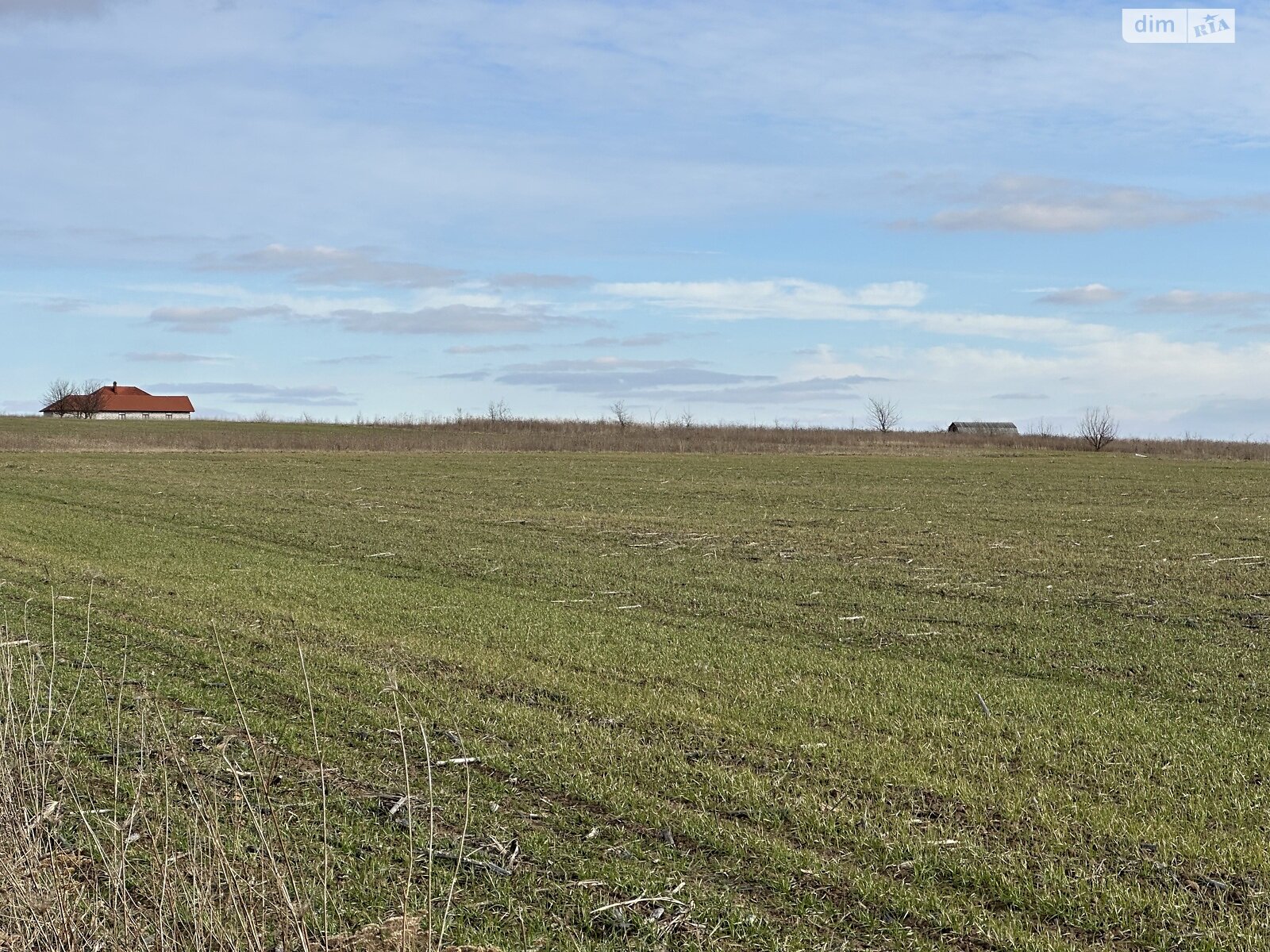 Земельный участок сельскохозяйственного назначения в Луке-Мелешковской, площадь 382 сотки фото 1