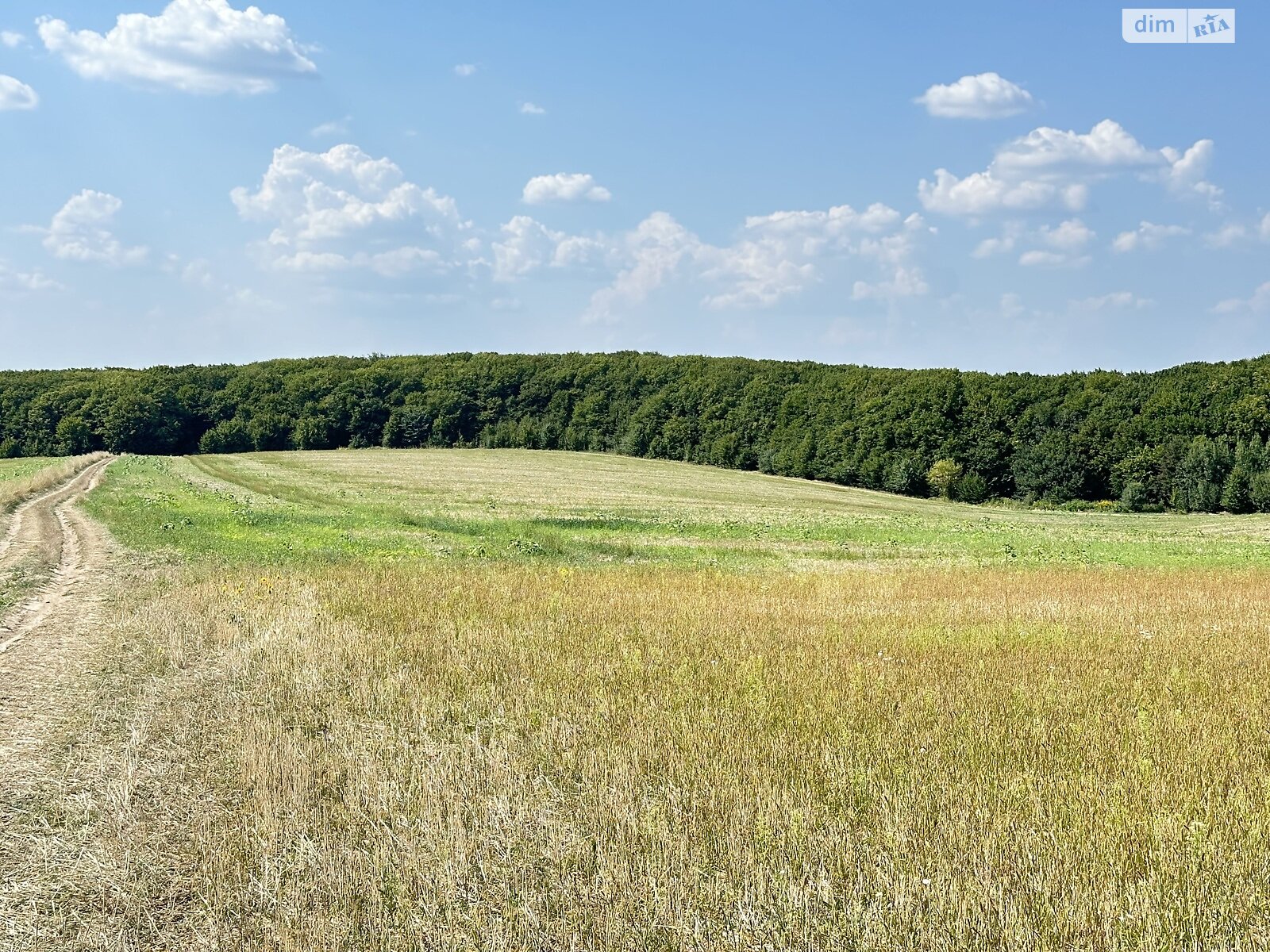 Земельна ділянка сільськогосподарського призначення в Луці-Мелешківській, площа 381.57 сотки фото 1