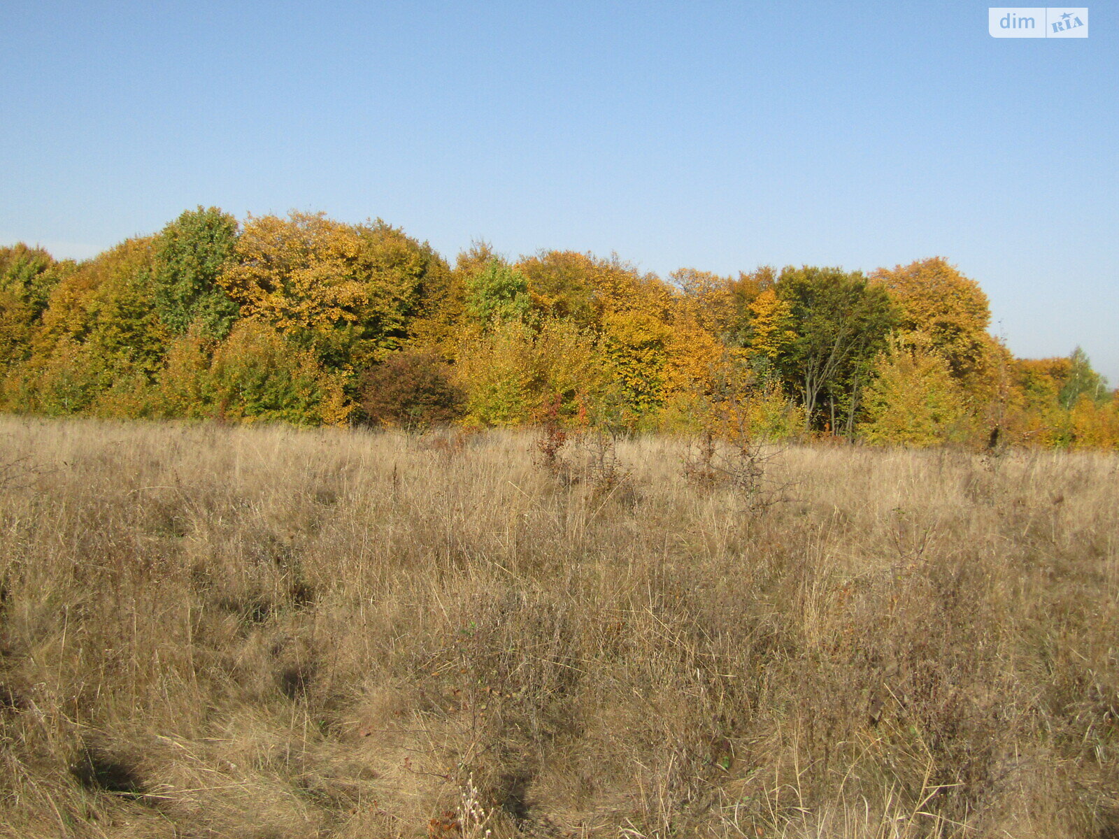 Земельный участок сельскохозяйственного назначения в Луке-Мелешковской, площадь 84.6 сотки фото 1