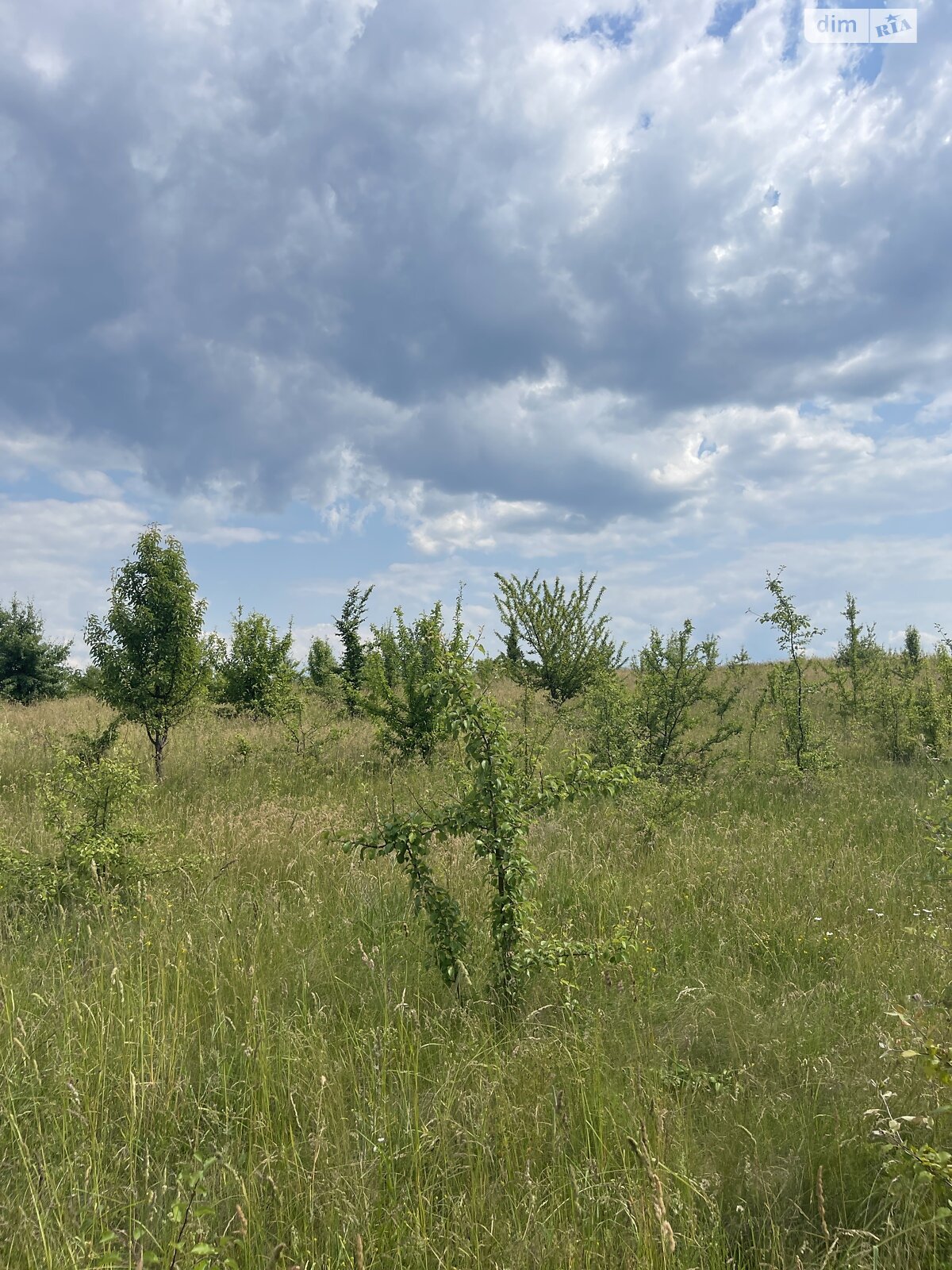 Земельный участок сельскохозяйственного назначения в Луке-Мелешковской, площадь 0.12 Га фото 1