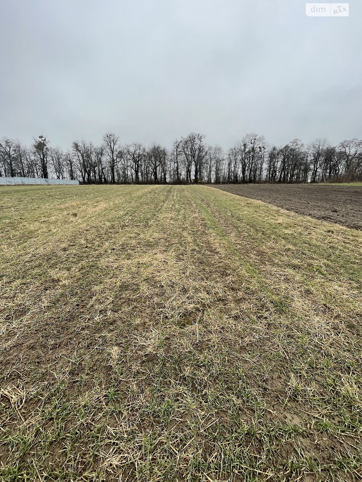 Земельный участок сельскохозяйственного назначения в Лукашовке, площадь 22 сотки фото 1