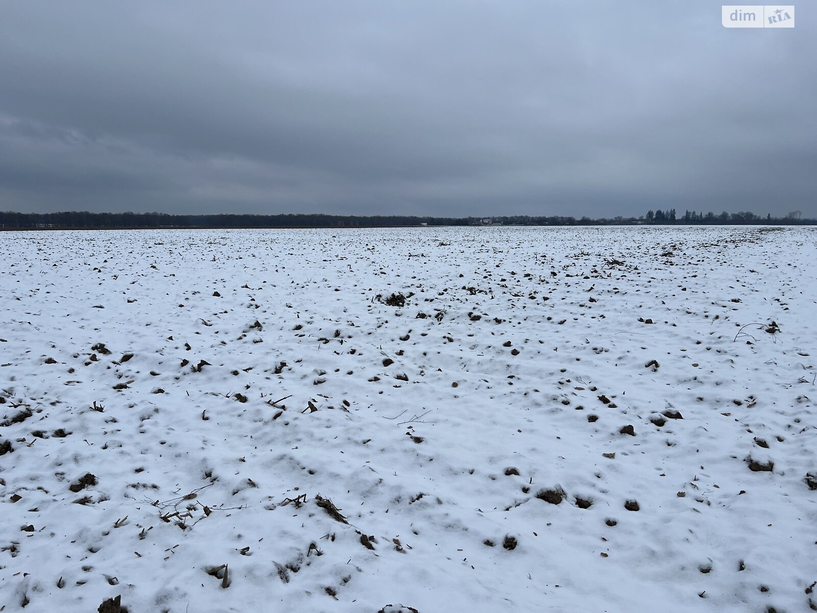 Земельна ділянка сільськогосподарського призначення в Лукашівці, площа 180 соток фото 1