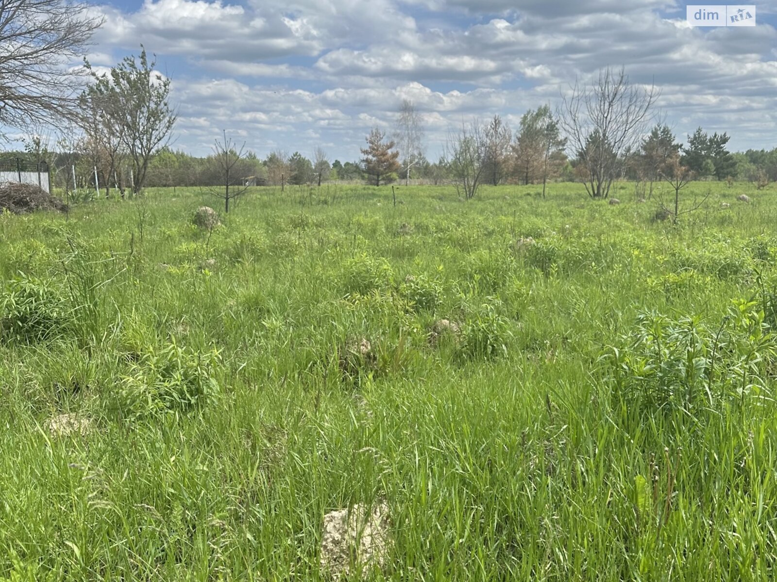 Земельна ділянка сільськогосподарського призначення в Лукашівці, площа 20 соток фото 1 Земельна ділянка сільськогосподарського призначення в Лукашівці, площа 20 соток фото 1