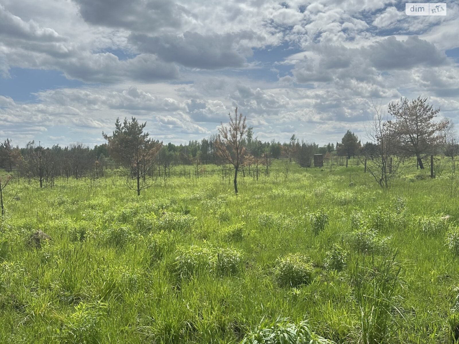 Земельна ділянка сільськогосподарського призначення в Лукашівці, площа 20 соток фото 1 Земельна ділянка сільськогосподарського призначення в Лукашівці, площа 20 соток фото 1