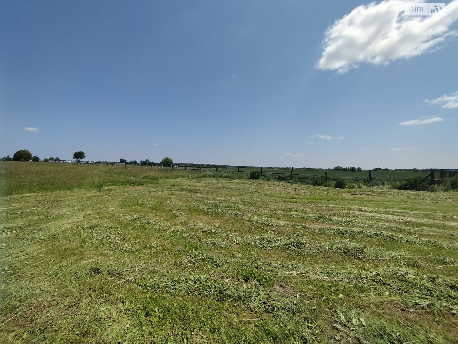 Земельна ділянка сільськогосподарського призначення в Лукашівці, площа 55 соток фото 1 Земельна ділянка сільськогосподарського призначення в Лукашівці, площа 55 соток фото 1
