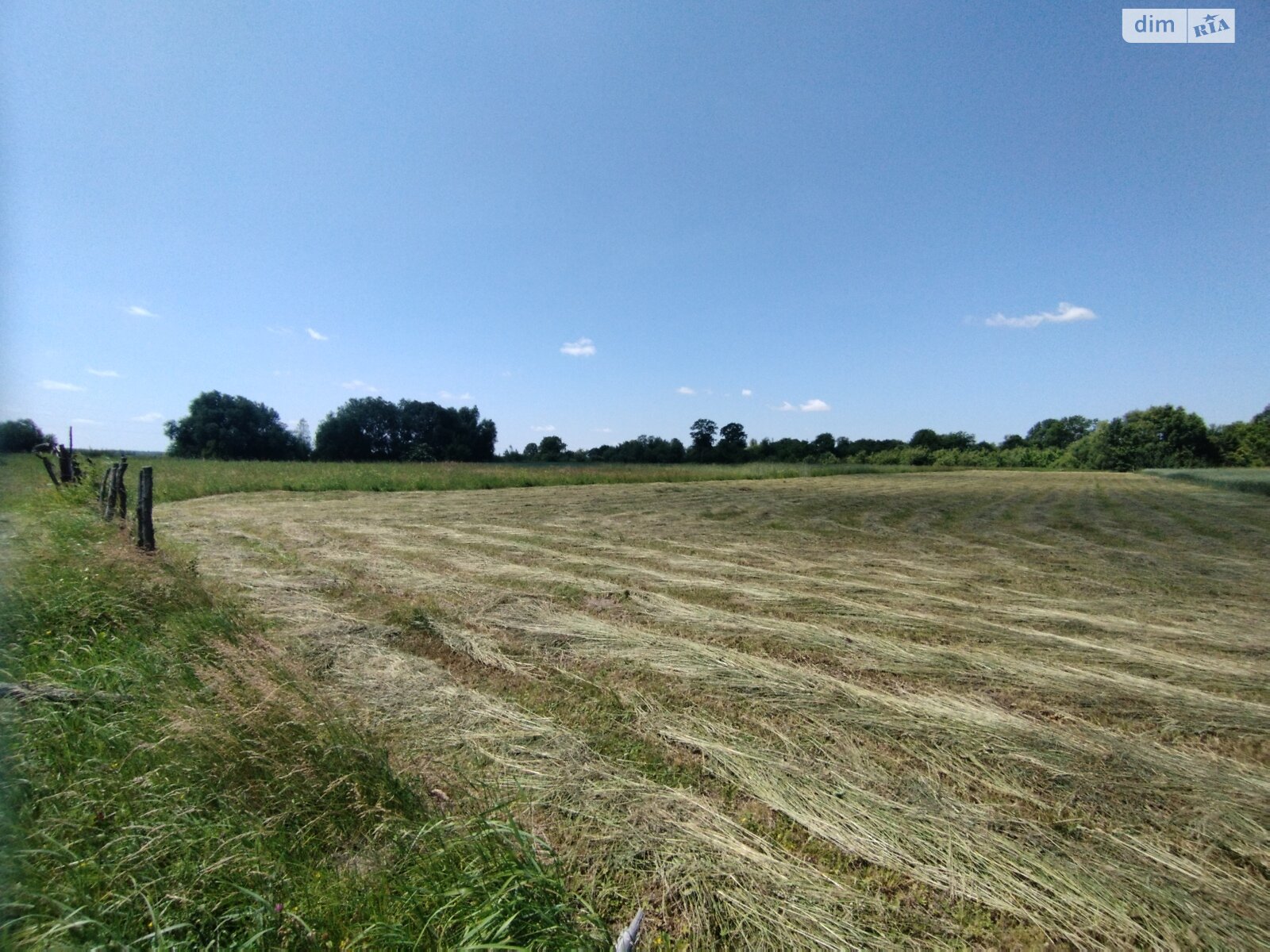 Земельна ділянка сільськогосподарського призначення в Лукашівці, площа 55 соток фото 1 Земельна ділянка сільськогосподарського призначення в Лукашівці, площа 55 соток фото 1