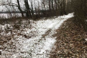 Земельна ділянка сільськогосподарського призначення в Лукашівці, площа 1.8 Га фото 2