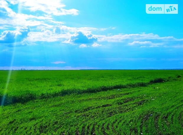 Земля сельскохозяйственного назначения в селе Гать, площадь 260 соток фото 1 Земля сельскохозяйственного назначения в селе Гать, площадь 260 соток фото 1