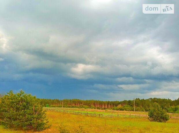 Земля сельскохозяйственного назначения в селе Гать, площадь 260 соток фото 1 Земля сельскохозяйственного назначения в селе Гать, площадь 260 соток фото 1