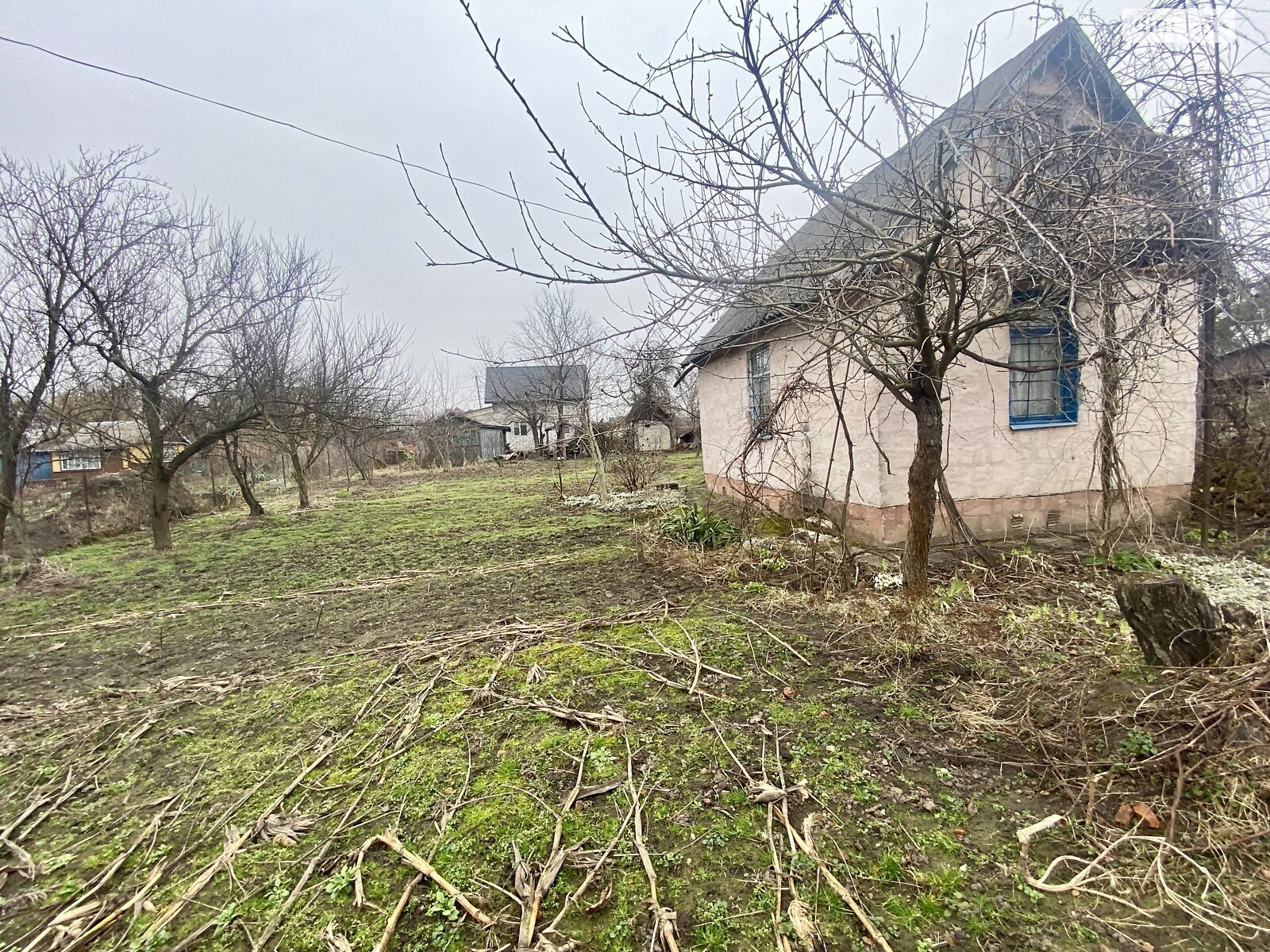 Земля сельскохозяйственного назначения в Луцке, район Красное, площадь 8 соток фото 1