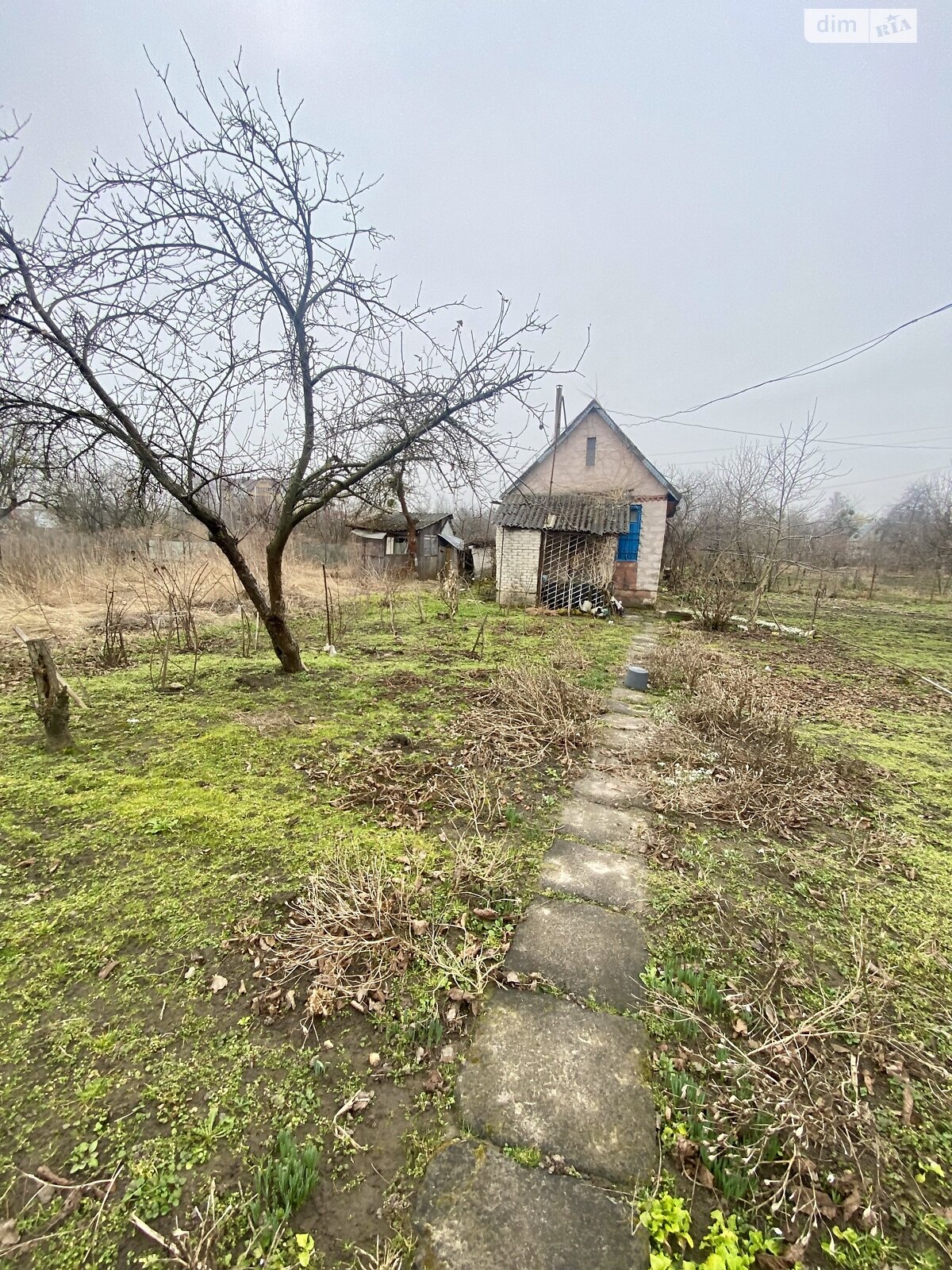 Земля сельскохозяйственного назначения в Луцке, район Красное, площадь 8 соток фото 1