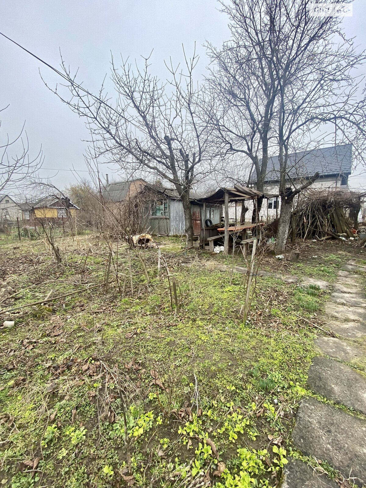 Земля сельскохозяйственного назначения в Луцке, район Красное, площадь 8 соток фото 1