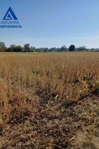Земля сельскохозяйственного назначения в Луцке, район Вышков, площадь 1.283 Га фото 2