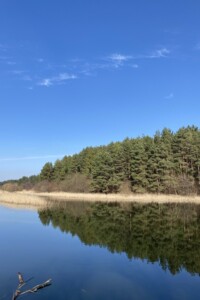 Земельна ділянка сільськогосподарського призначення в Луцьку, площа 60 соток фото 2