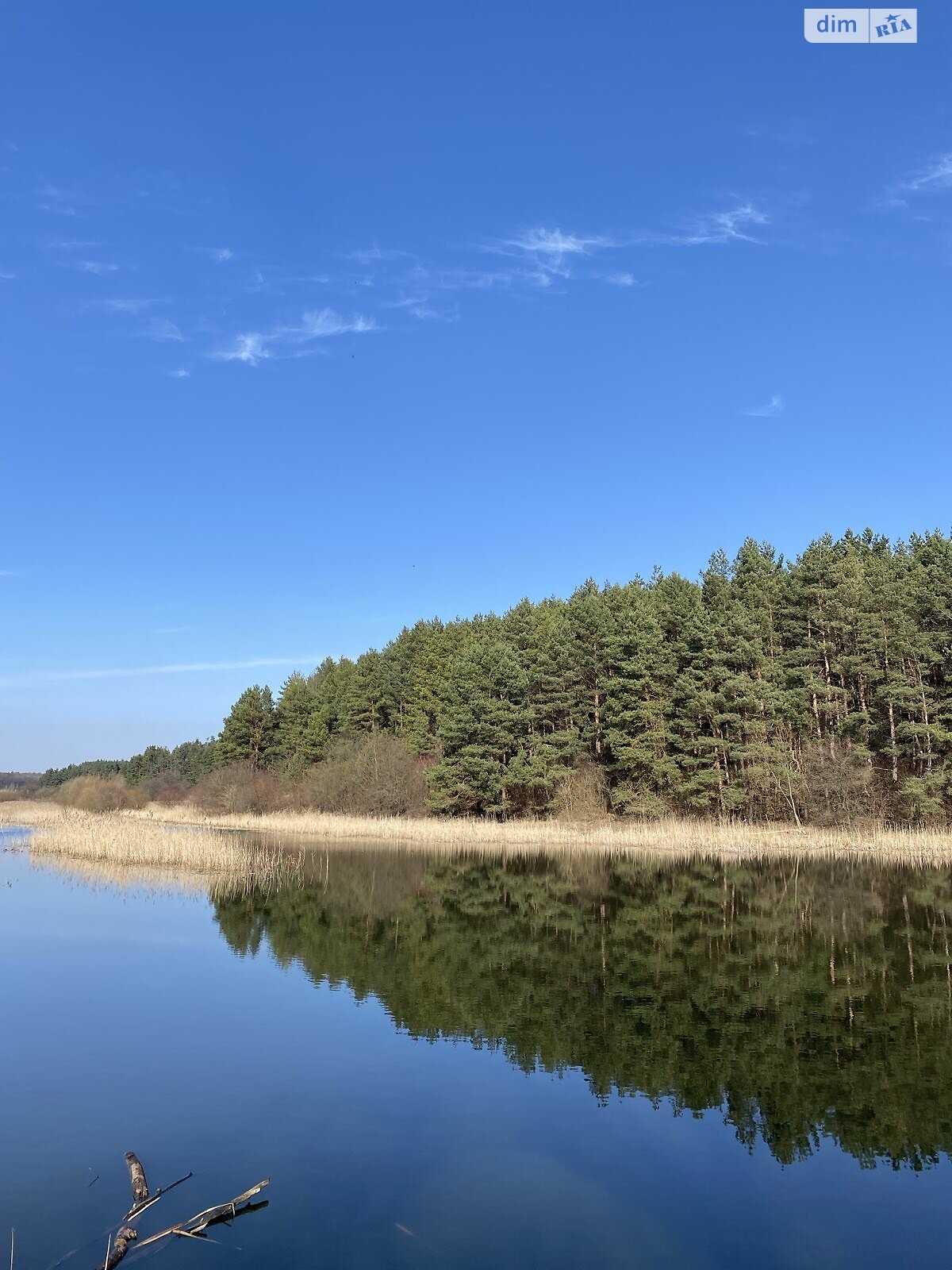 Земельна ділянка сільськогосподарського призначення в Луцьку, площа 60 соток фото 1