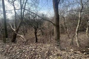 Земля сільськогосподарського призначення в Львові, район Голоско, площа 6 соток фото 2