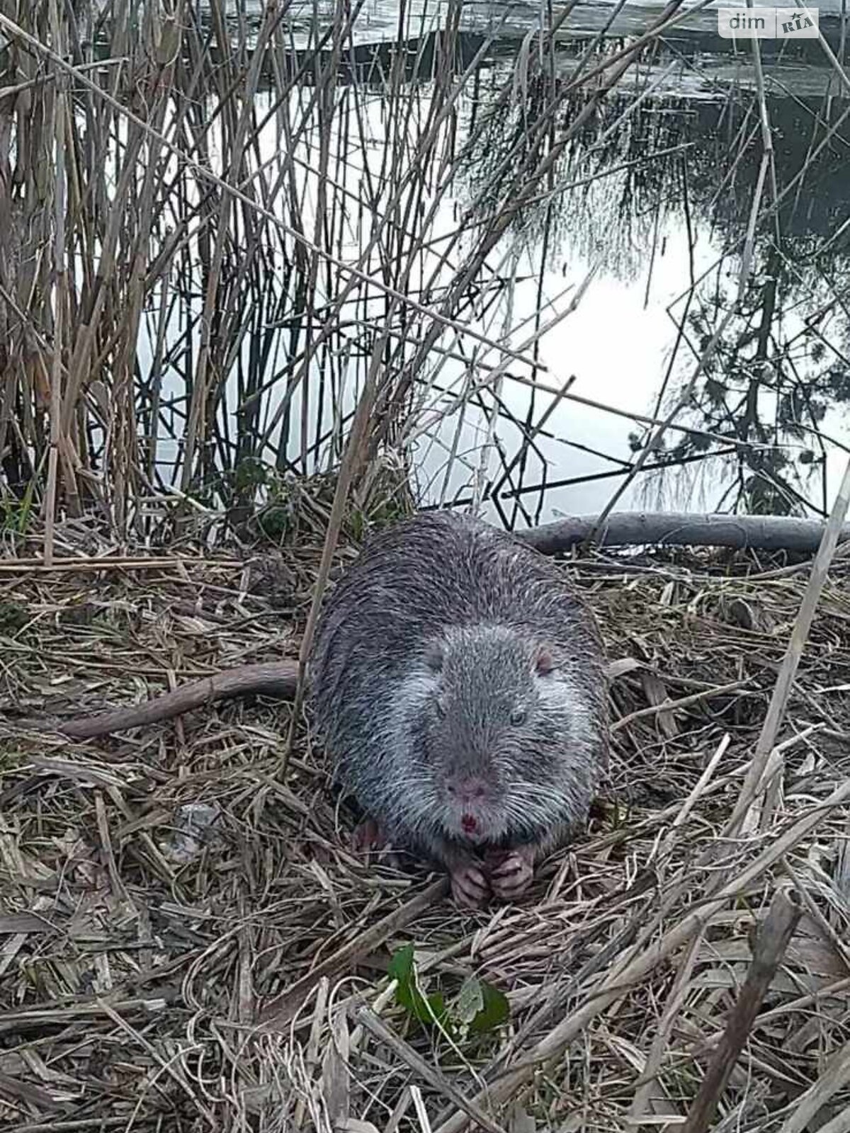 Земля сільськогосподарського призначення в Львові, район Клепарів, площа 8 соток фото 1 Земля сільськогосподарського призначення в Львові, район Клепарів, площа 8 соток фото 1