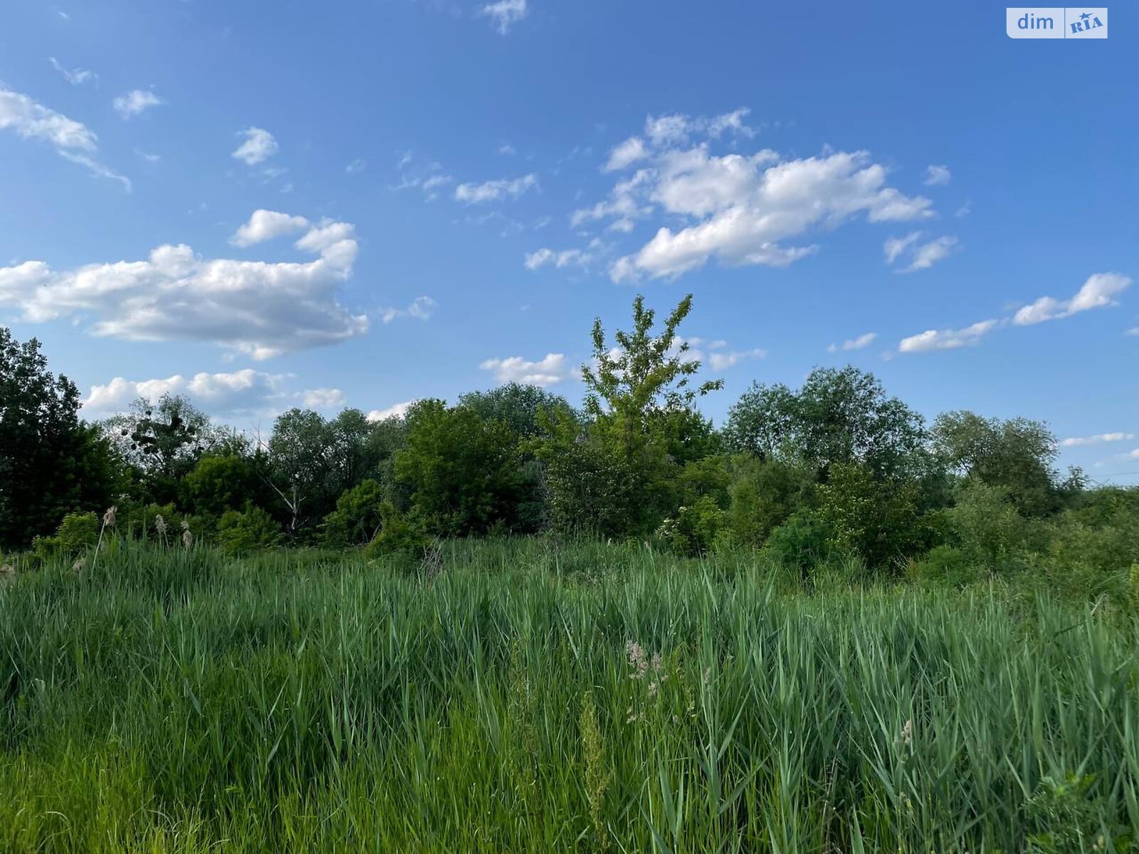 Земля сельскохозяйственного назначения в Львове, район Кривчицы, площадь 94.5 сотки фото 1