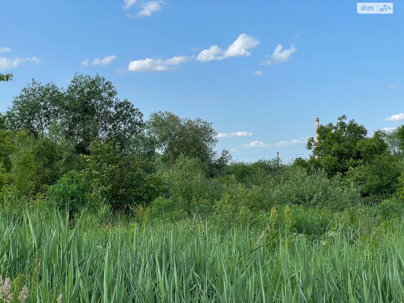 Земля сельскохозяйственного назначения в Львове, район Кривчицы, площадь 1 сотка фото 1