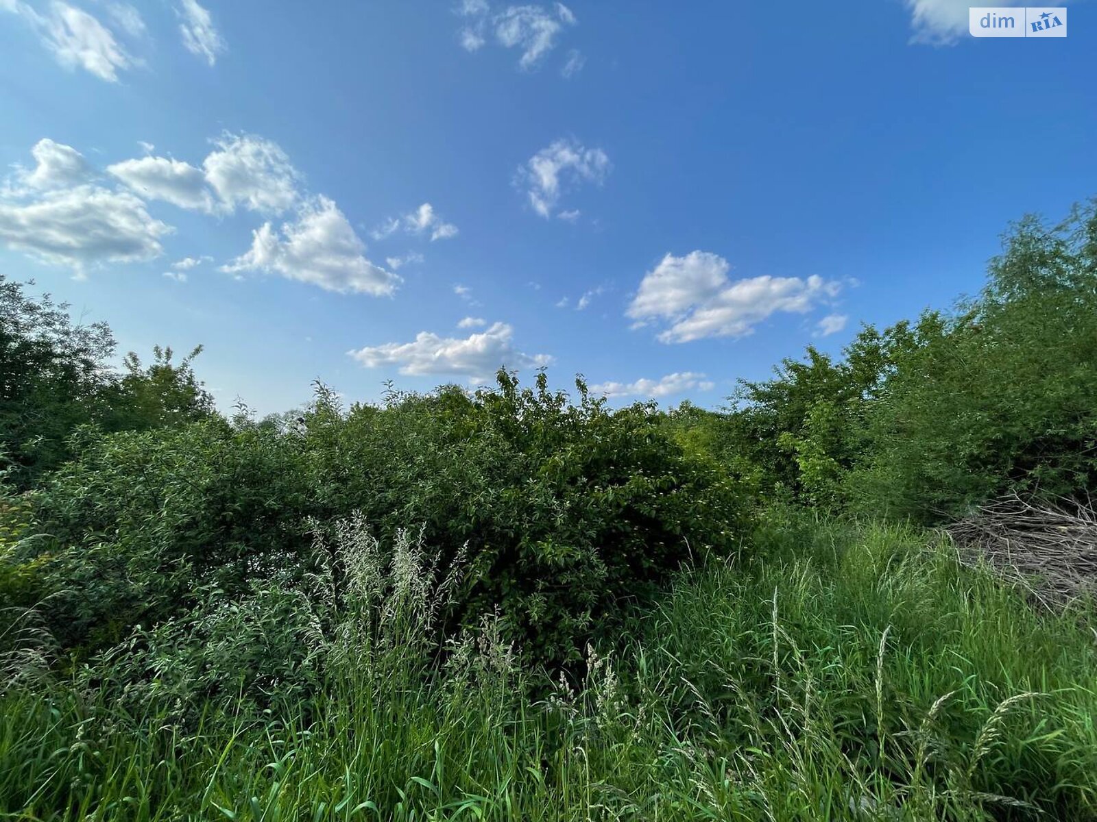 Земля сельскохозяйственного назначения в Львове, район Кривчицы, площадь 87.85 сотки фото 1