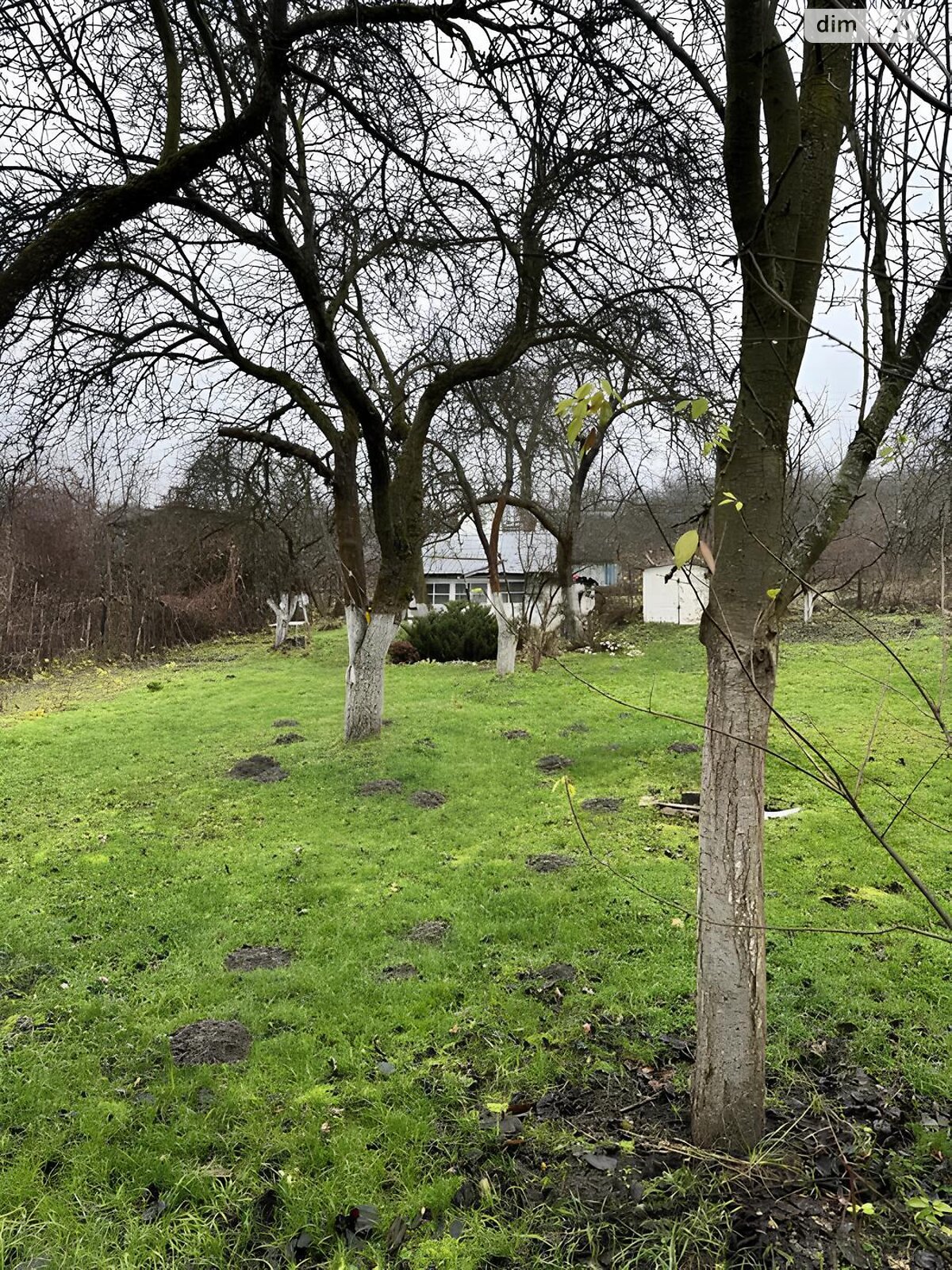 Земля сільськогосподарського призначення в Львові, район Шевченківський, площа 6 соток фото 1 Земля сільськогосподарського призначення в Львові, район Шевченківський, площа 6 соток фото 1