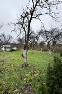 Земля сільськогосподарського призначення в Львові, район Шевченківський, площа 6 соток фото 2 Земля сільськогосподарського призначення в Львові, район Шевченківський, площа 6 соток фото 2