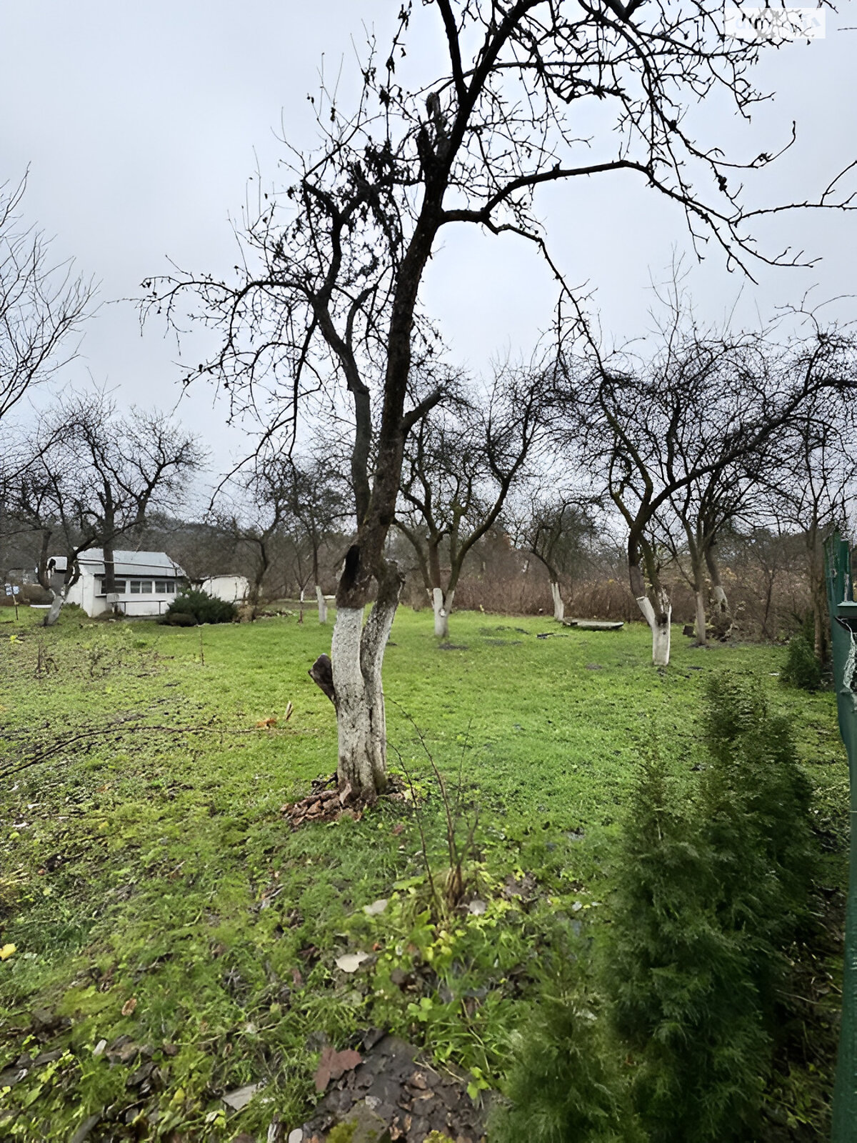 Земля сільськогосподарського призначення в Львові, район Шевченківський, площа 6 соток фото 1 Земля сільськогосподарського призначення в Львові, район Шевченківський, площа 6 соток фото 1