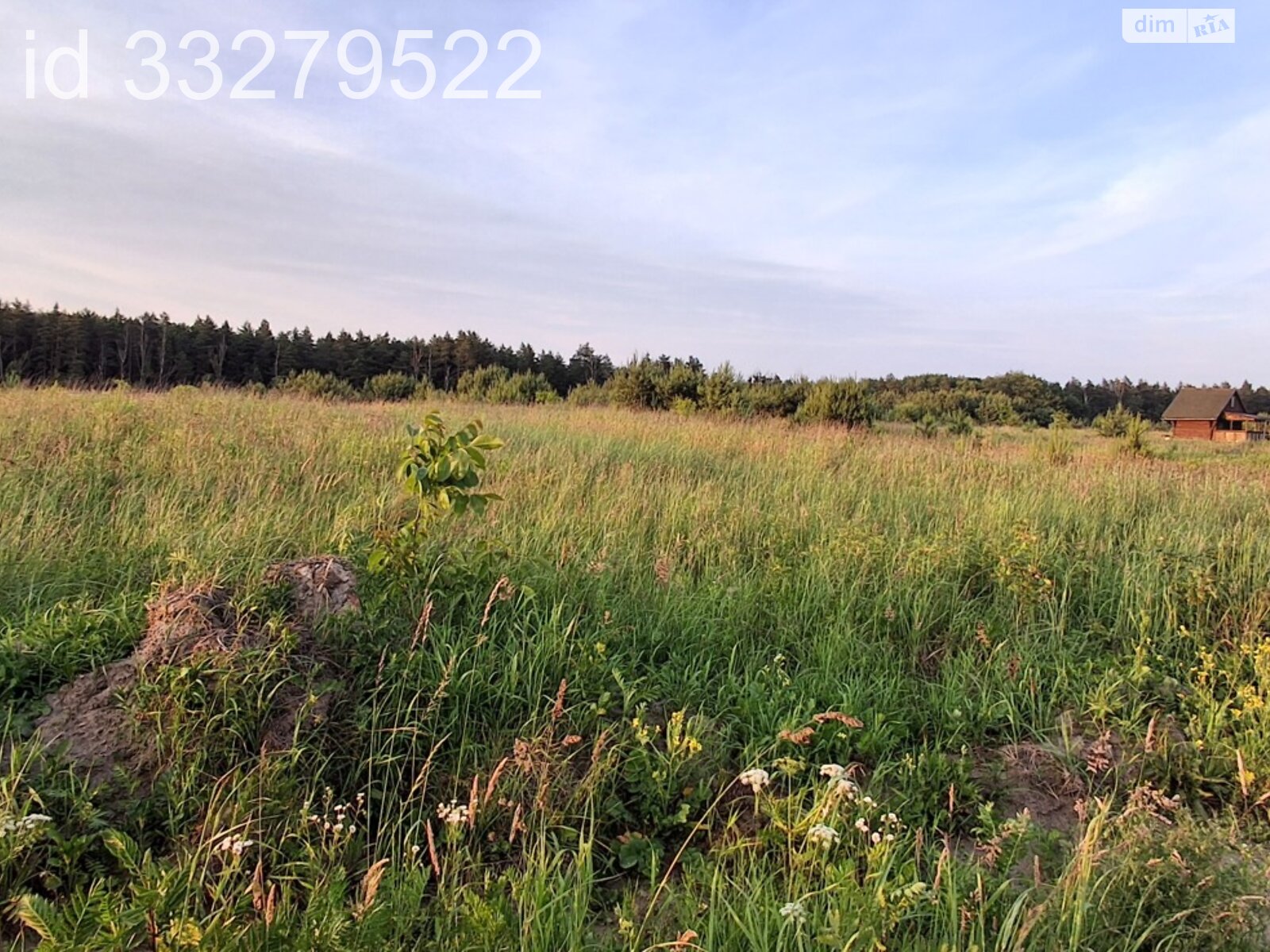 Земля сільськогосподарського призначення в Львові, район Шевченківський, площа 0.0635 Га фото 1