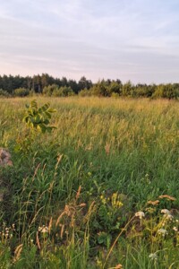Земля сільськогосподарського призначення в Львові, район Шевченківський, площа 0.0635 Га фото 2