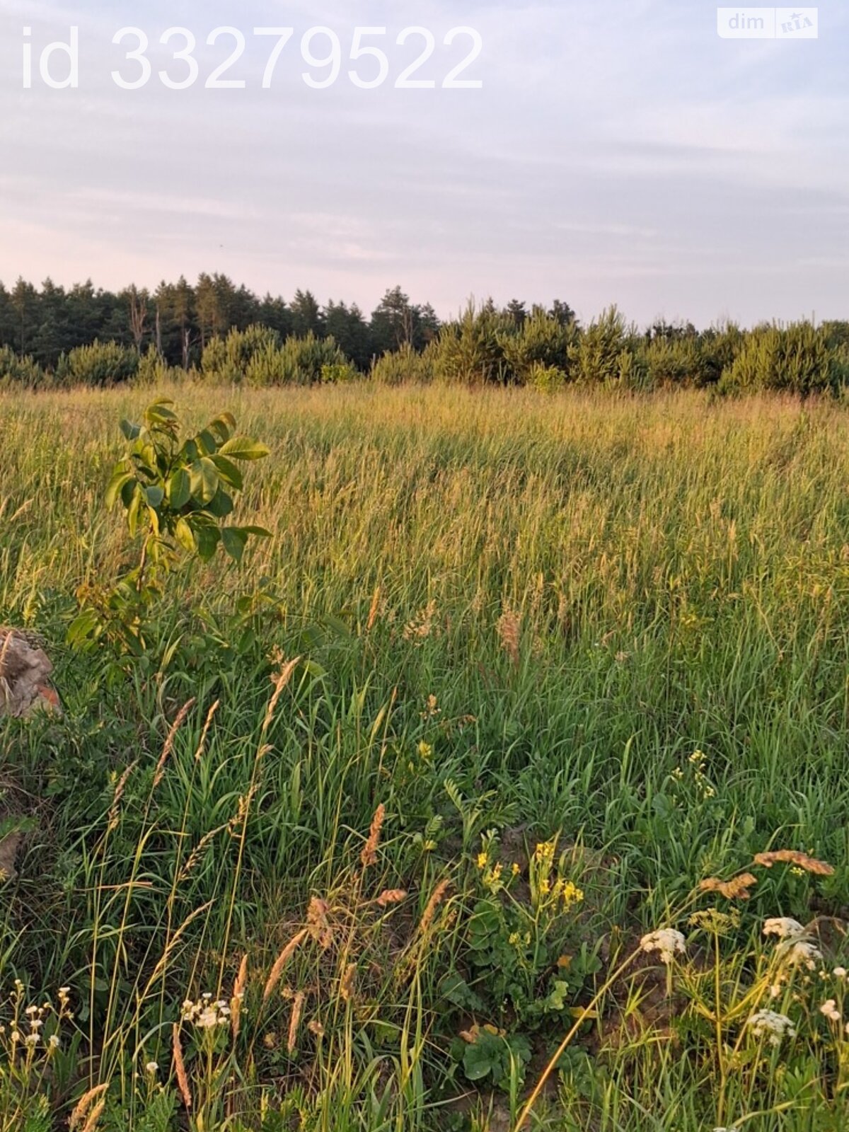 Земля сільськогосподарського призначення в Львові, район Шевченківський, площа 0.0635 Га фото 1