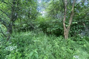 Земля сельскохозяйственного назначения в Львове, район Шевченковский, площадь 7.44 сотки фото 2 Земля сельскохозяйственного назначения в Львове, район Шевченковский, площадь 7.44 сотки фото 2