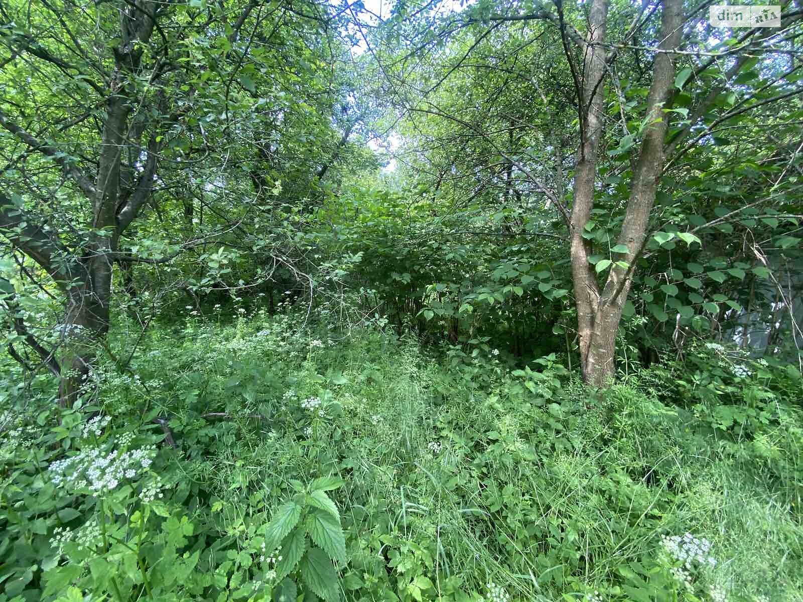 Земля сельскохозяйственного назначения в Львове, район Шевченковский, площадь 7.44 сотки фото 1 Земля сельскохозяйственного назначения в Львове, район Шевченковский, площадь 7.44 сотки фото 1