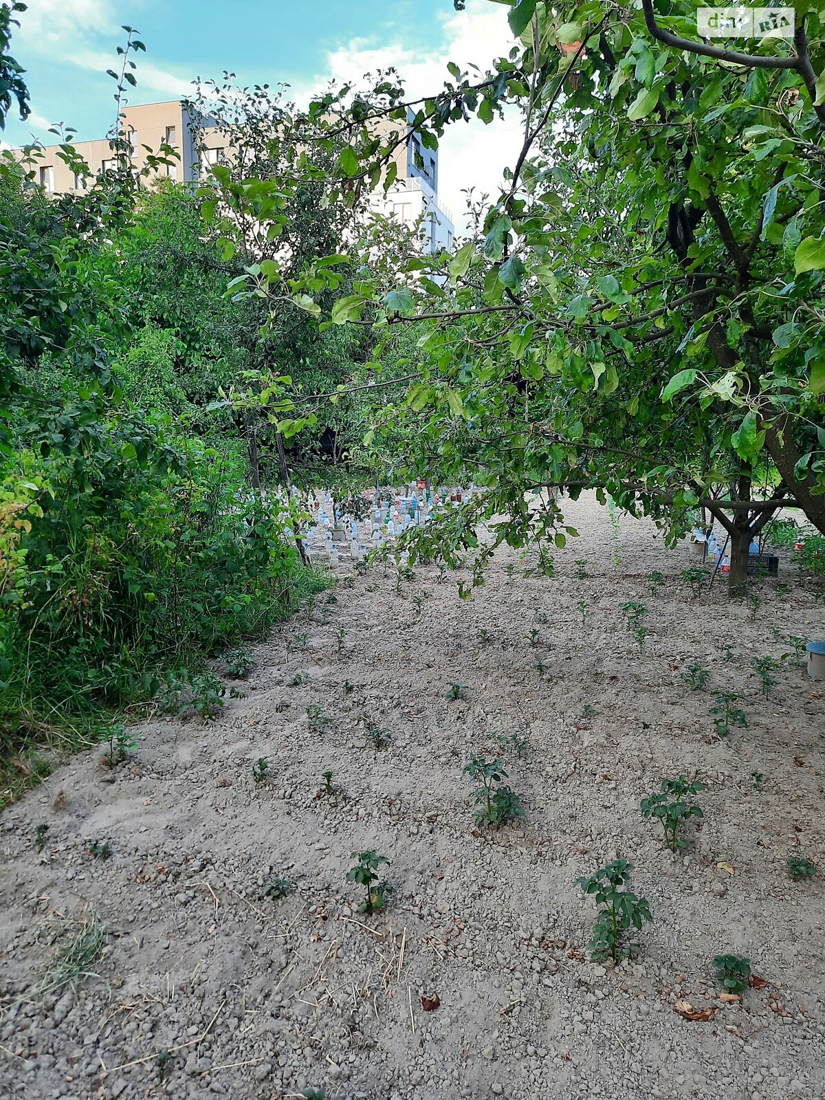 Земля сельскохозяйственного назначения в Львове, район Сыховский, площадь 6 соток фото 1