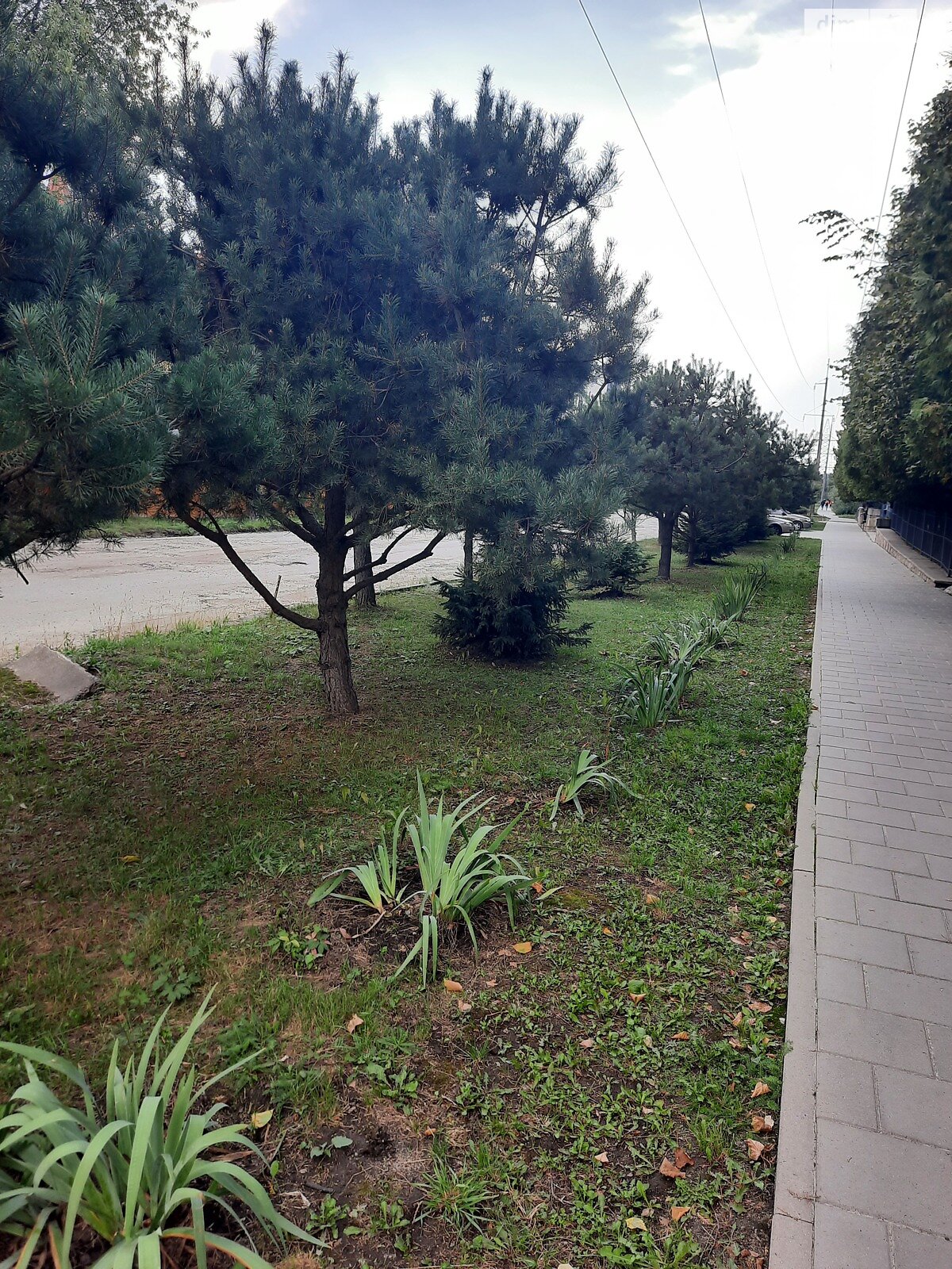 Земля сельскохозяйственного назначения в Львове, район Сыховский, площадь 6 соток фото 1