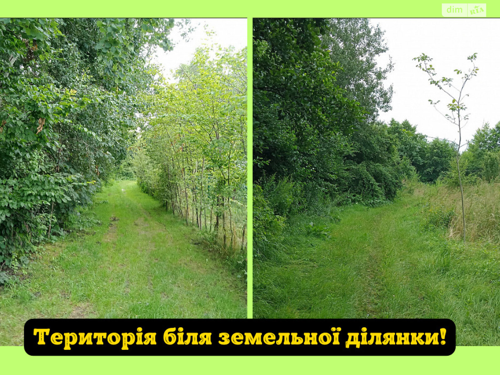 Земельный участок сельскохозяйственного назначения в Львове, площадь 8 соток фото 1