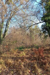 Земельный участок сельскохозяйственного назначения в Львове, площадь 10.5 сотки фото 2