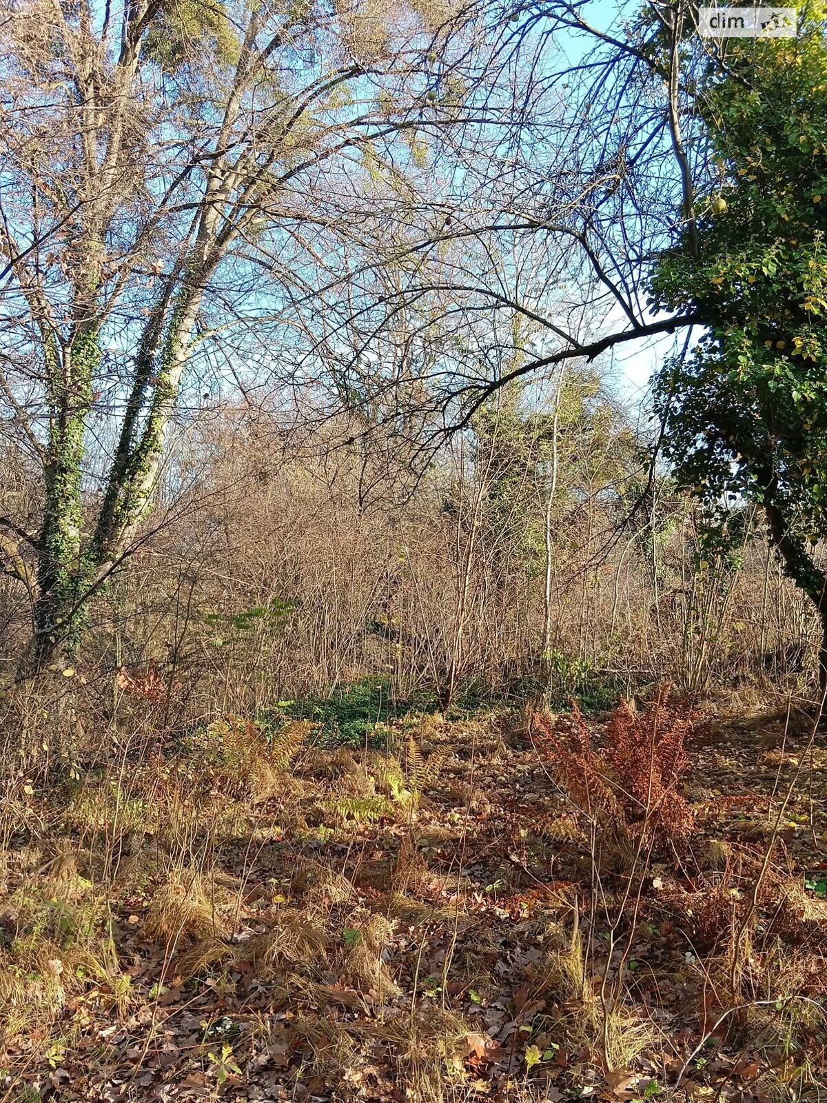 Земельный участок сельскохозяйственного назначения в Львове, площадь 10.5 сотки фото 1