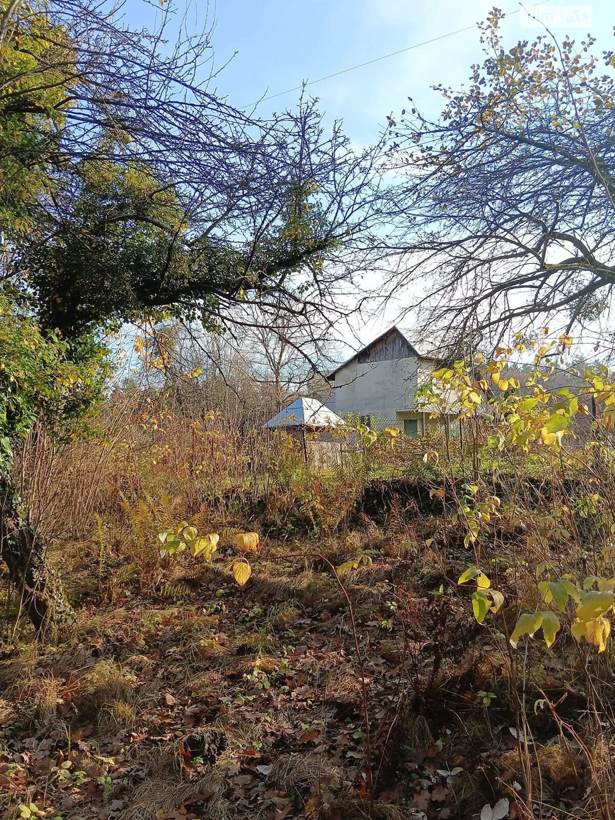 Земельный участок сельскохозяйственного назначения в Львове, площадь 10.5 сотки фото 1