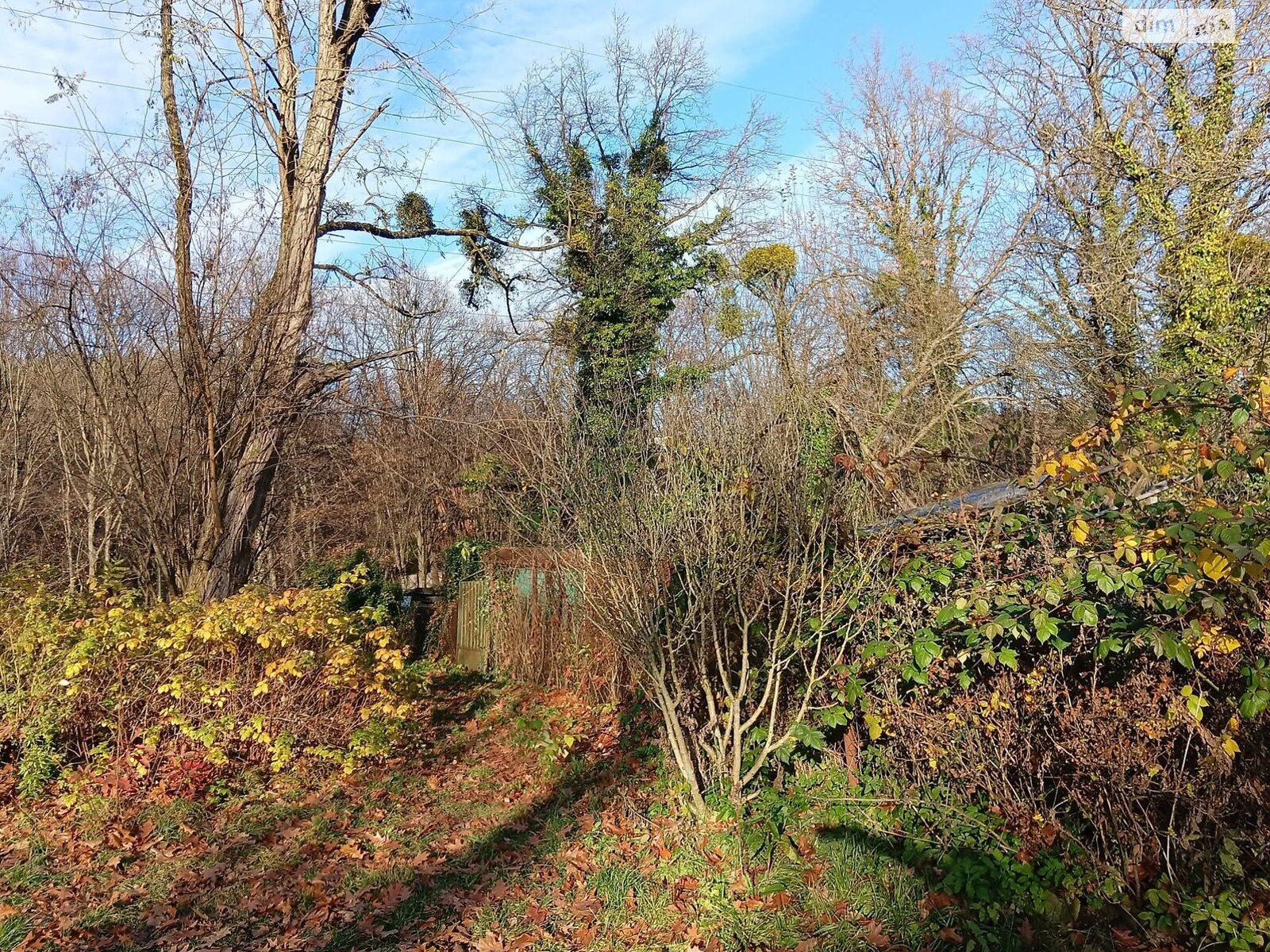 Земельный участок сельскохозяйственного назначения в Львове, площадь 10.5 сотки фото 1