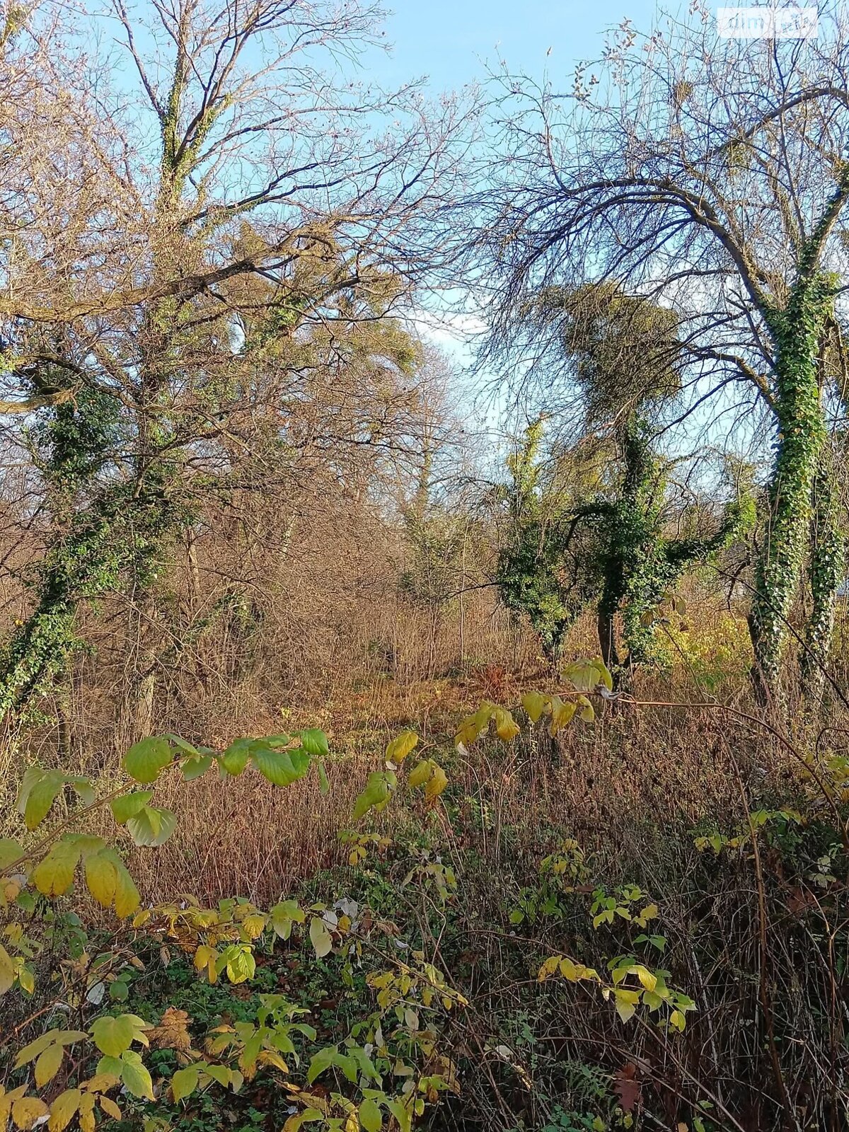 Земельный участок сельскохозяйственного назначения в Львове, площадь 10.5 сотки фото 1