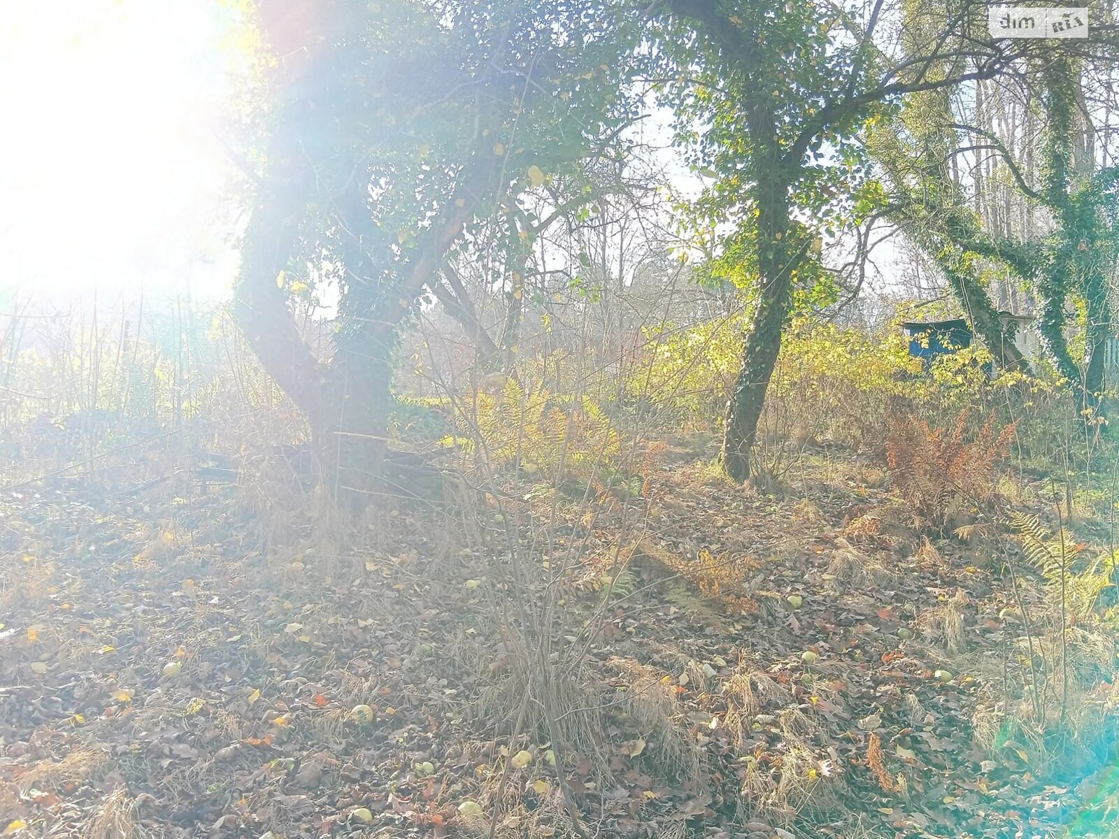 Земельный участок сельскохозяйственного назначения в Львове, площадь 10.5 сотки фото 1
