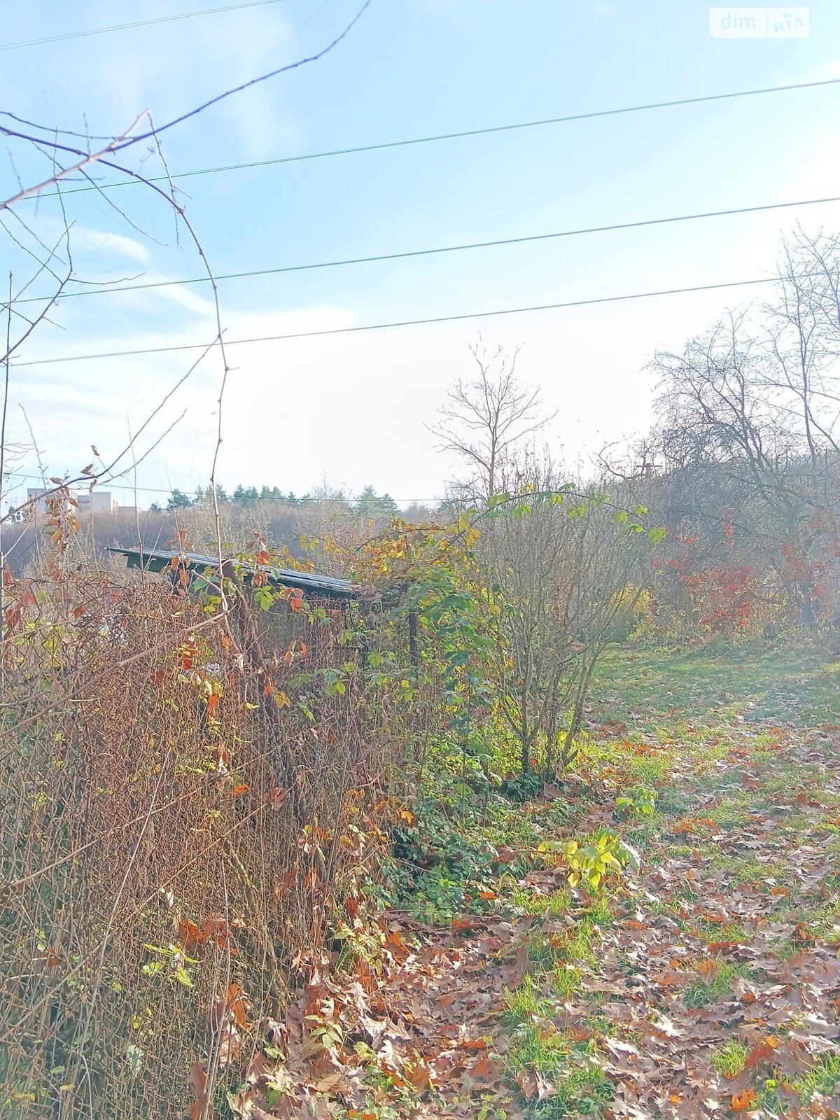 Земельный участок сельскохозяйственного назначения в Львове, площадь 10.5 сотки фото 1