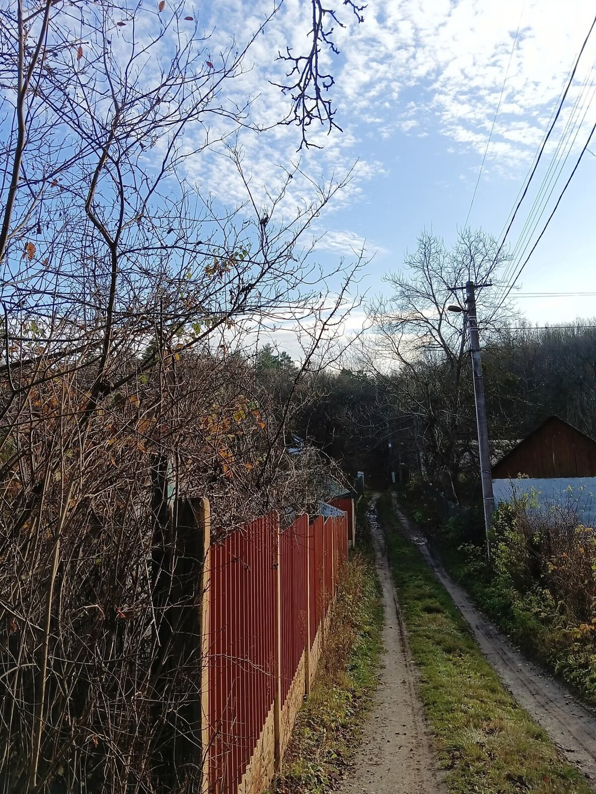 Земельный участок сельскохозяйственного назначения в Львове, площадь 10.5 сотки фото 1