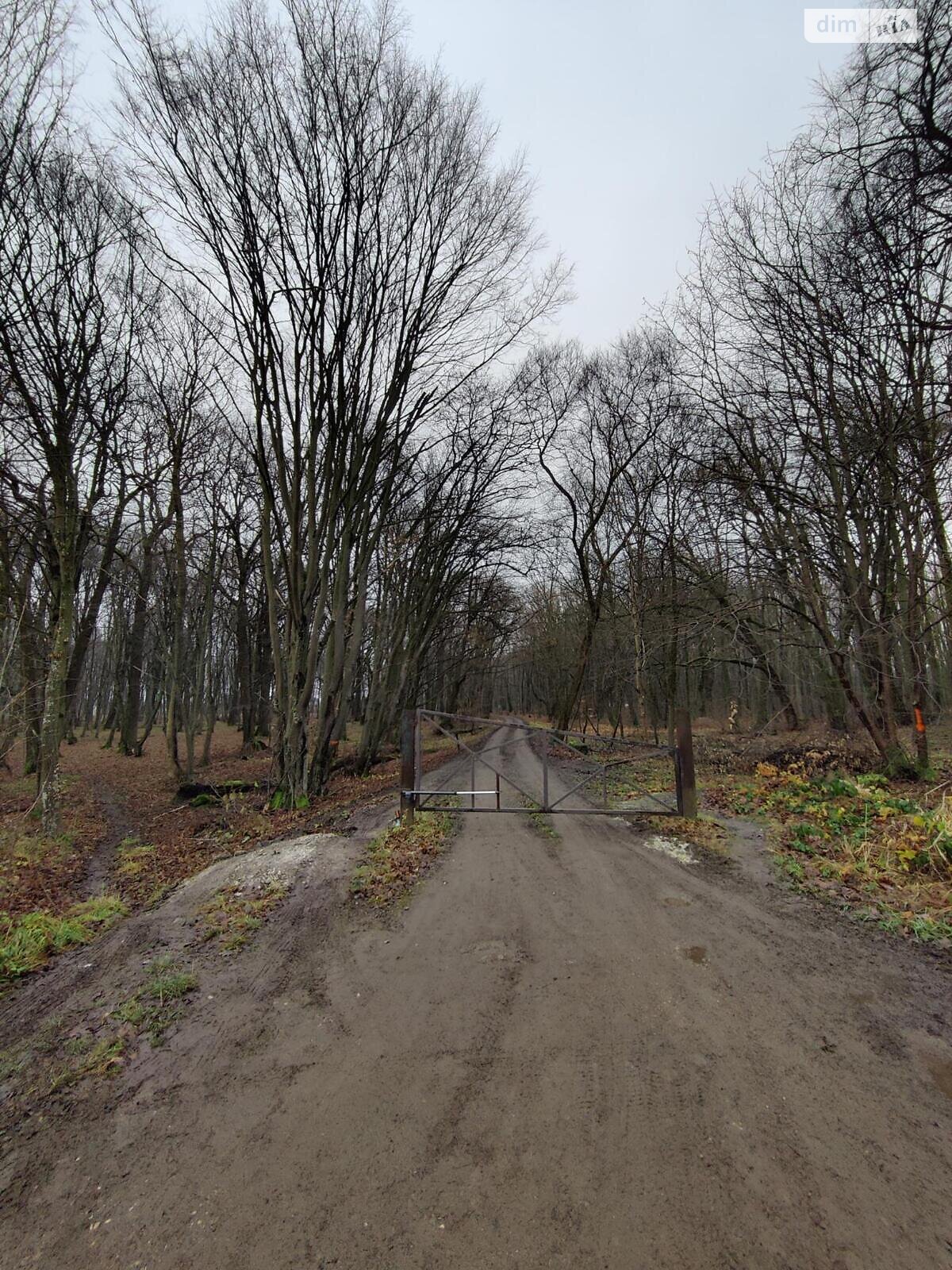 Земельна ділянка сільськогосподарського призначення в Львові, площа 5.3 сотки фото 1