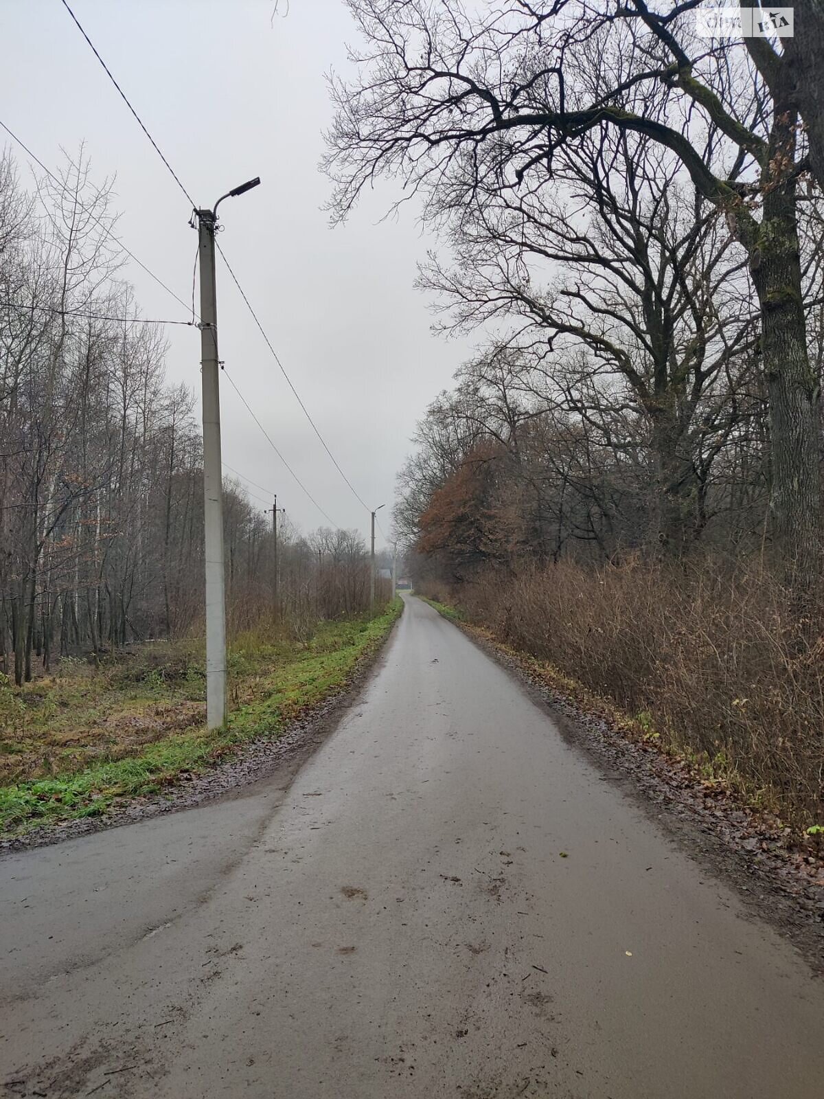 Земельна ділянка сільськогосподарського призначення в Львові, площа 5.3 сотки фото 1