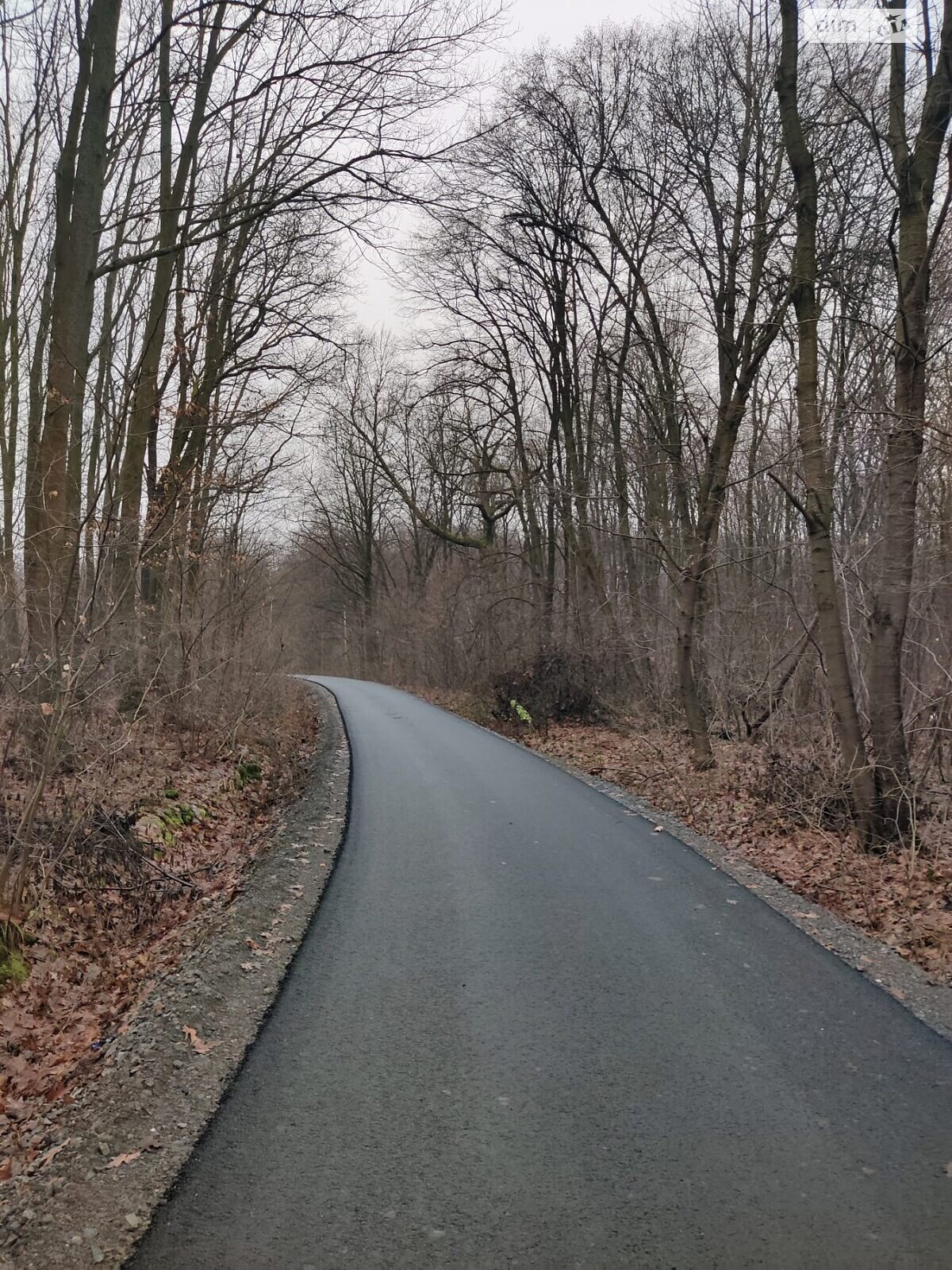 Земельна ділянка сільськогосподарського призначення в Львові, площа 5.3 сотки фото 1